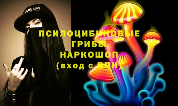 дмт Кулебаки