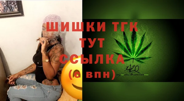 гашик Лагань
