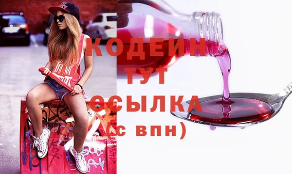 гашик Лагань