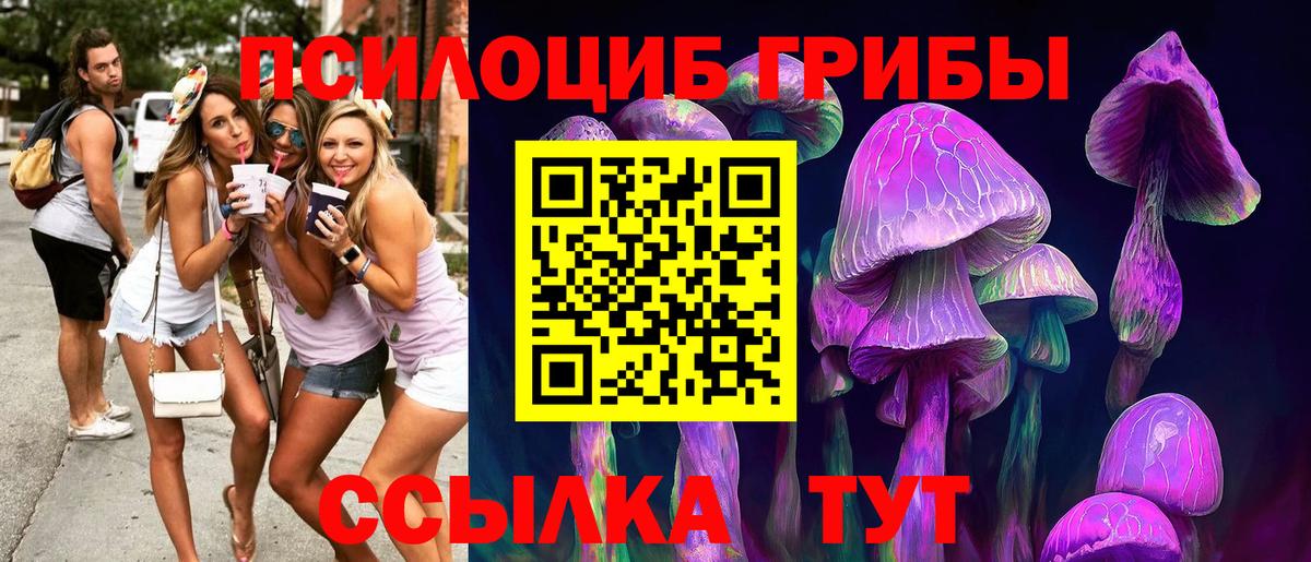 Псилоцибиновые грибы GOLDEN TEACHER Учалы