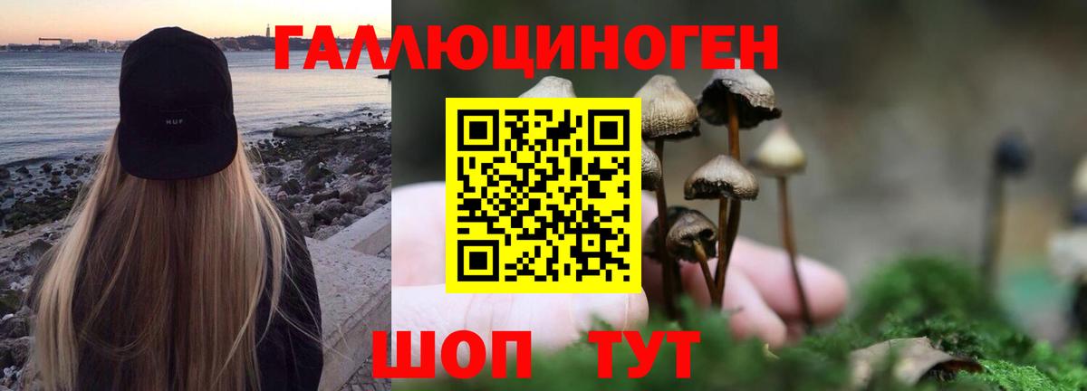 где найти наркотики  Галлюциногенные грибы GOLDEN TEACHER  Вход с VPN  Учалы  Галлюциногенные грибы Cubensis 