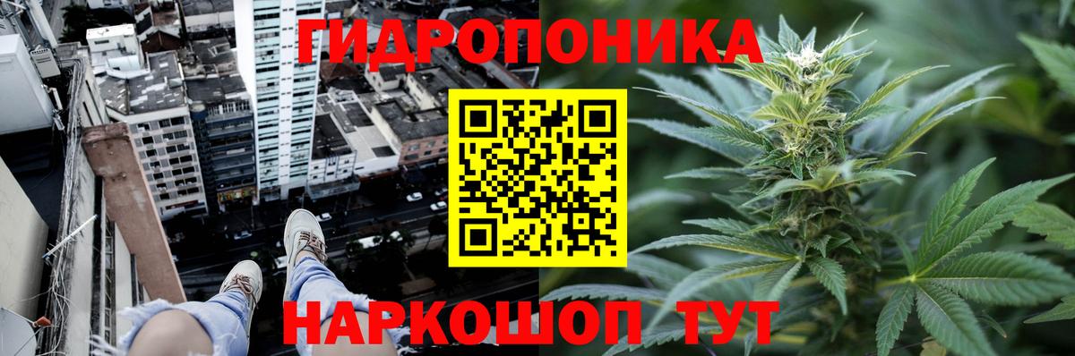 Шишки марихуана планчик Учалы